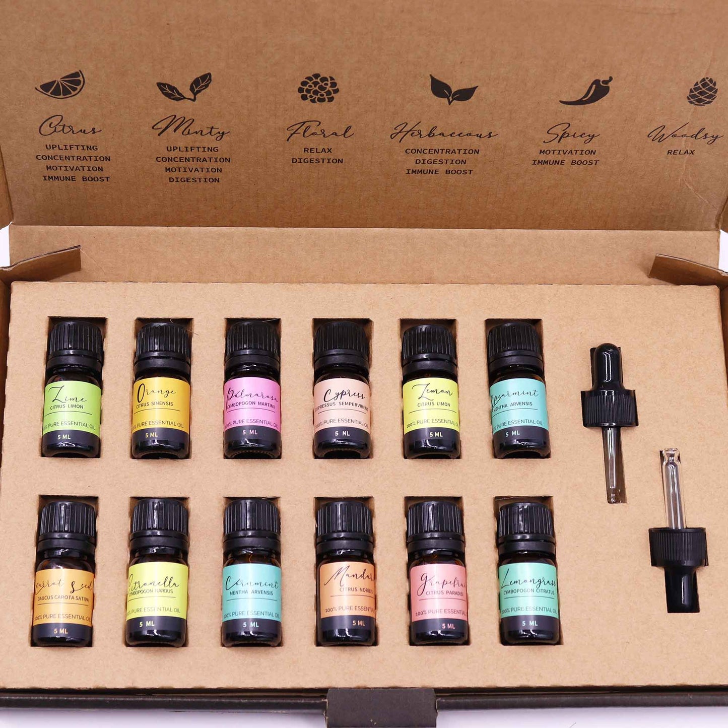 Aromatherapy Essential Oil Sets - Coal Harbour