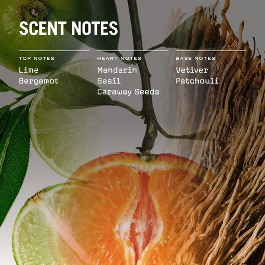 Citrico Reed Diffuser - Coal Harbour