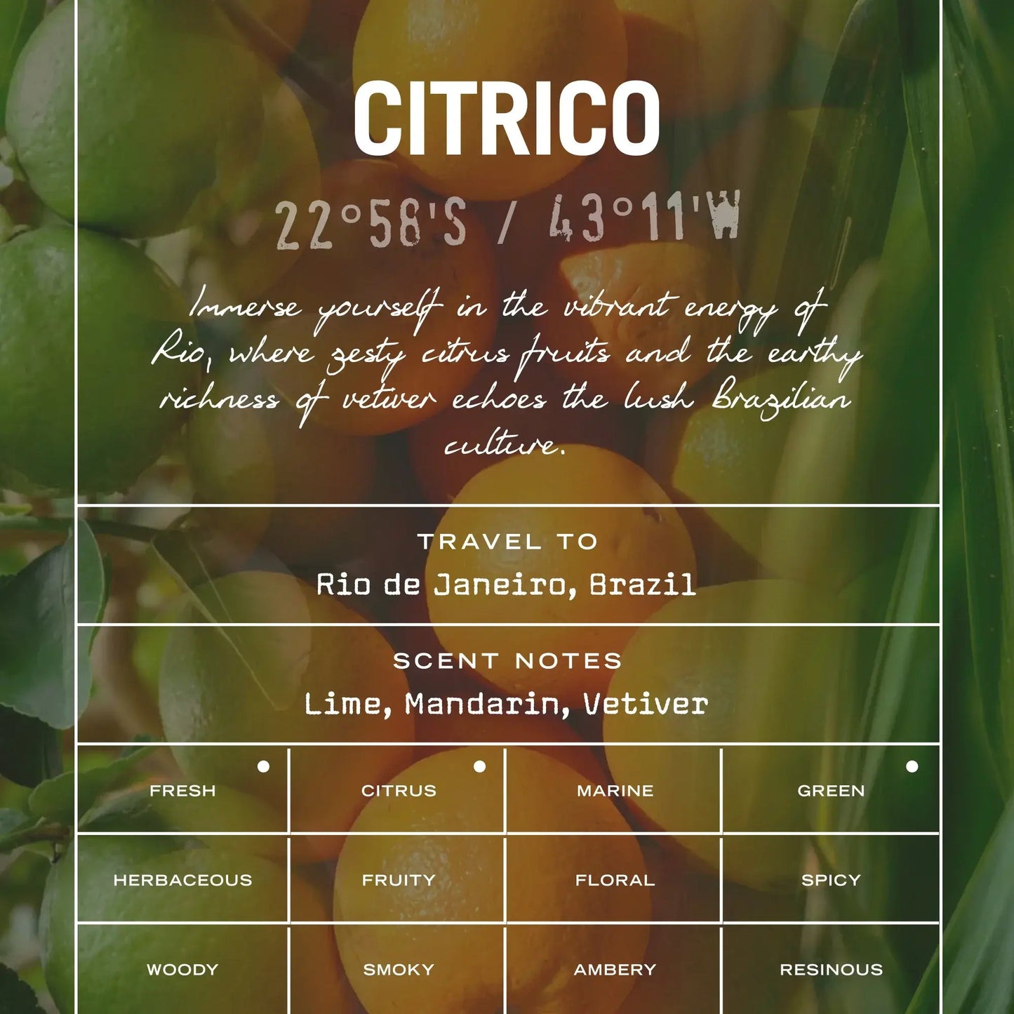 Citrico Scented Candle Refill - Coal Harbour