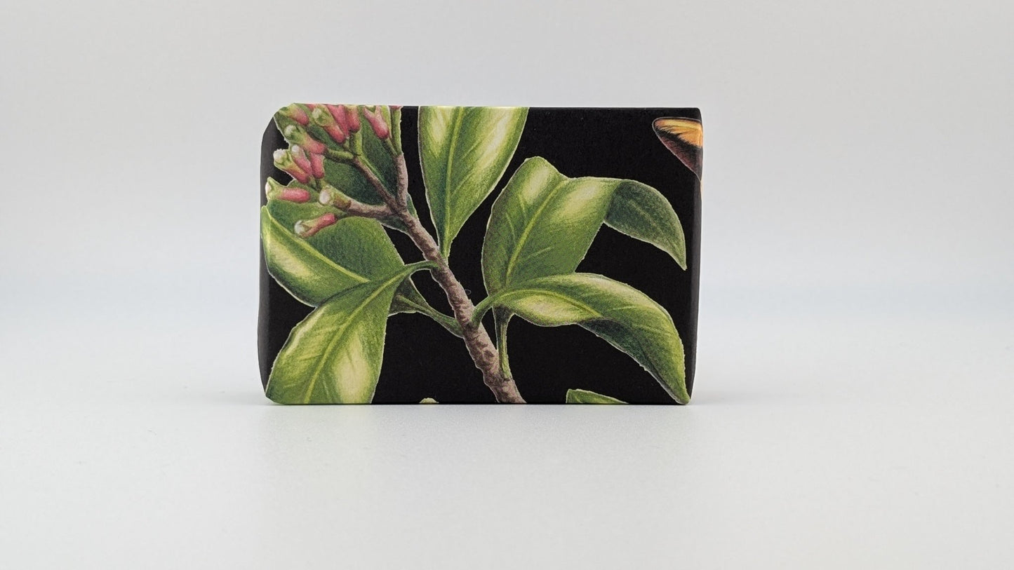 Clove 100g Soap Bar - Coal Harbour