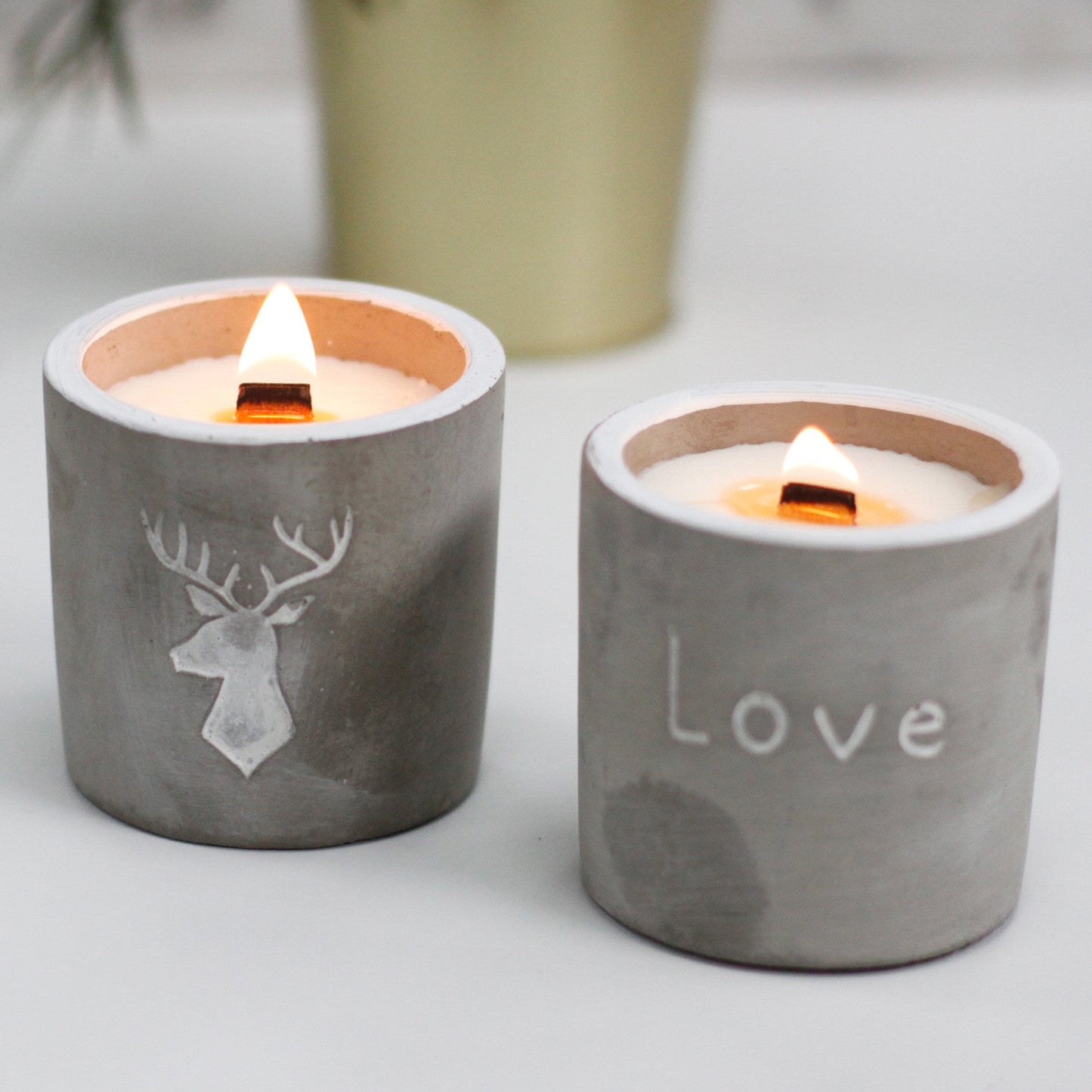 Concrete Wooden Wick Candle - Medium Pot - Love - Purple Fig & Cassis - Coal Harbour