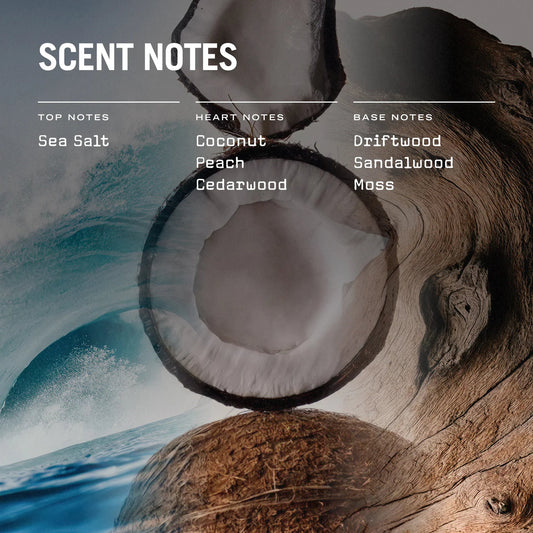 Drift Reed Diffuser - Coal Harbour