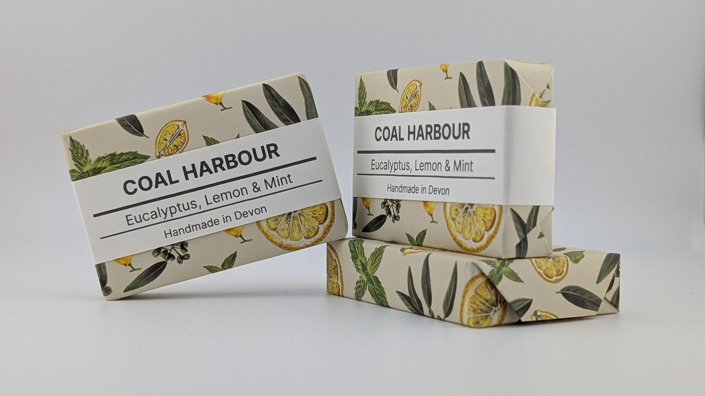 Eucalyptus, Lemon & Mint 100g Soap Bar - Coal Harbour