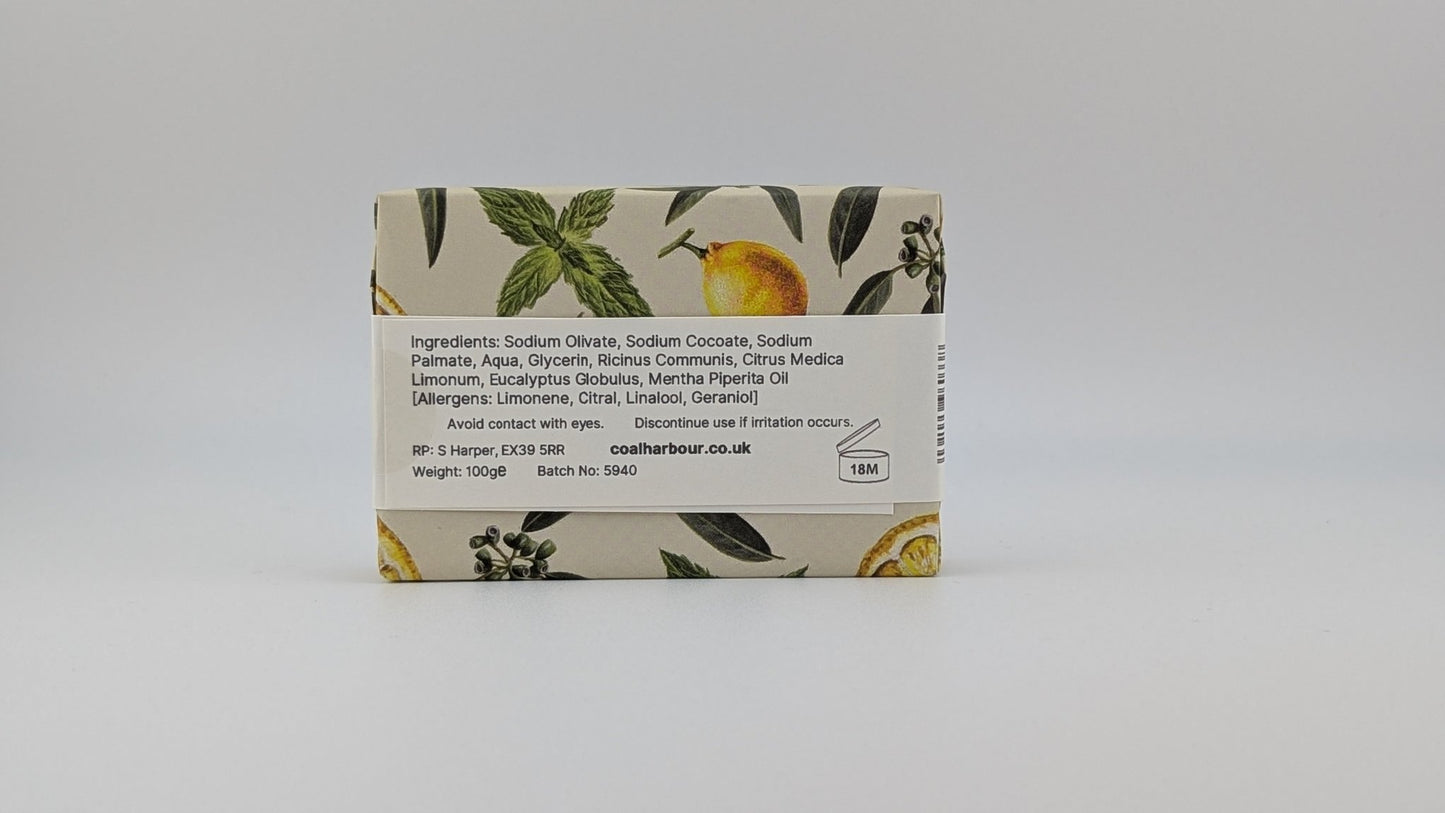 Eucalyptus, Lemon & Mint 100g Soap Bar - Coal Harbour