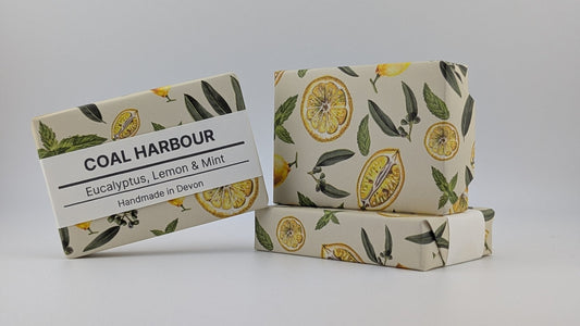 Eucalyptus, Lemon & Mint 100g Soap Bar - Coal Harbour