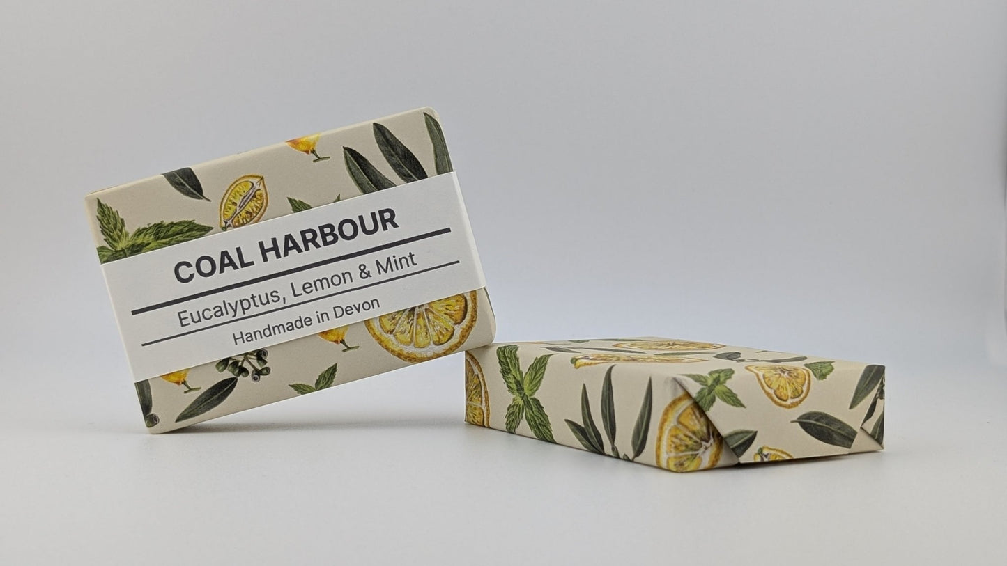 Eucalyptus, Lemon & Mint 100g Soap Bar - Coal Harbour