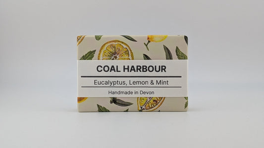 Eucalyptus, Lemon & Mint 100g Soap Bar - Coal Harbour