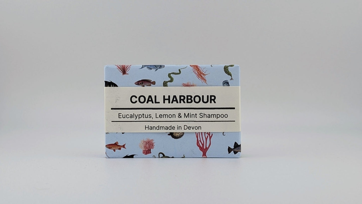Eucalyptus, Lemon & Mint Solid Shampoo 100g - Coal Harbour