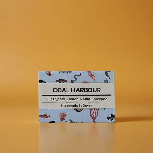 Eucalyptus, Lemon & Mint Solid Shampoo 100g - Coal Harbour