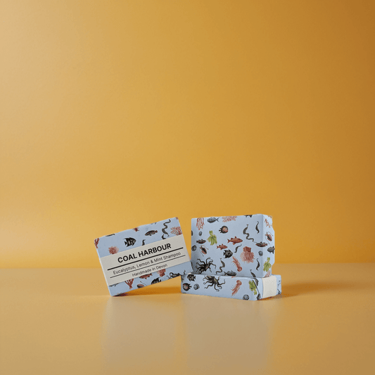 Eucalyptus, Lemon & Mint Solid Shampoo 100g - Coal Harbour