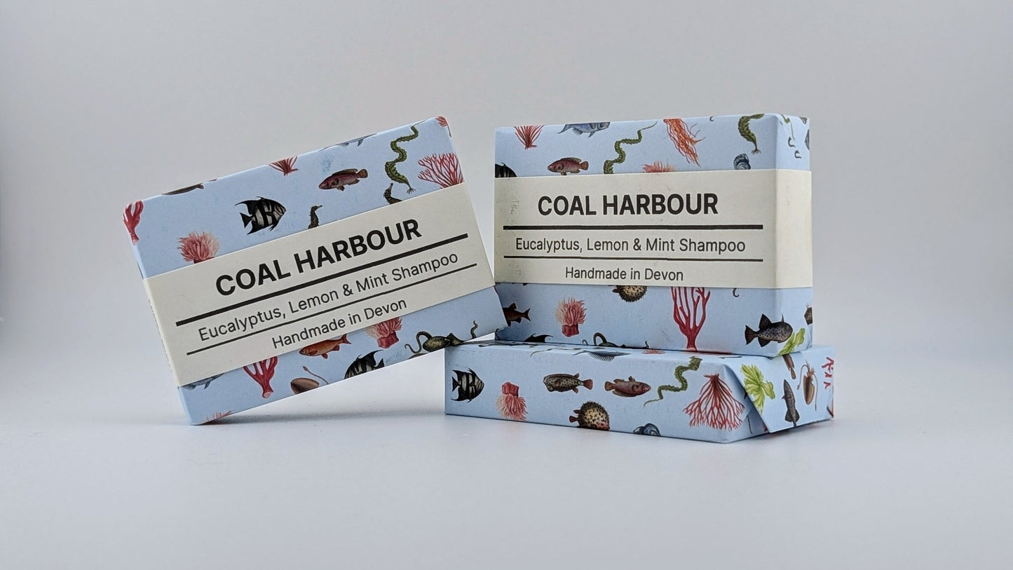 Eucalyptus, Lemon & Mint Solid Shampoo 100g - Coal Harbour