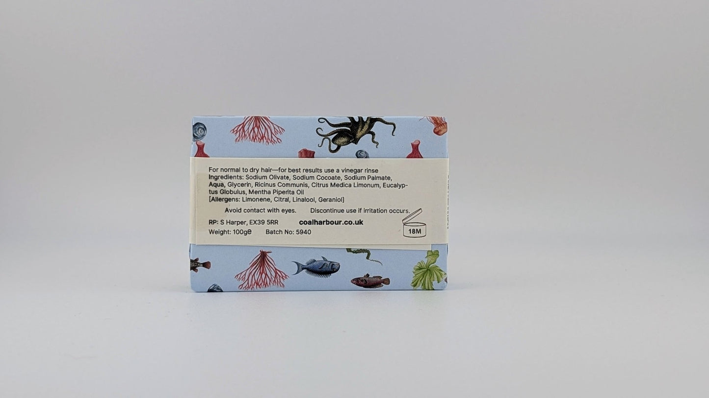Eucalyptus, Lemon & Mint Solid Shampoo 100g - Coal Harbour