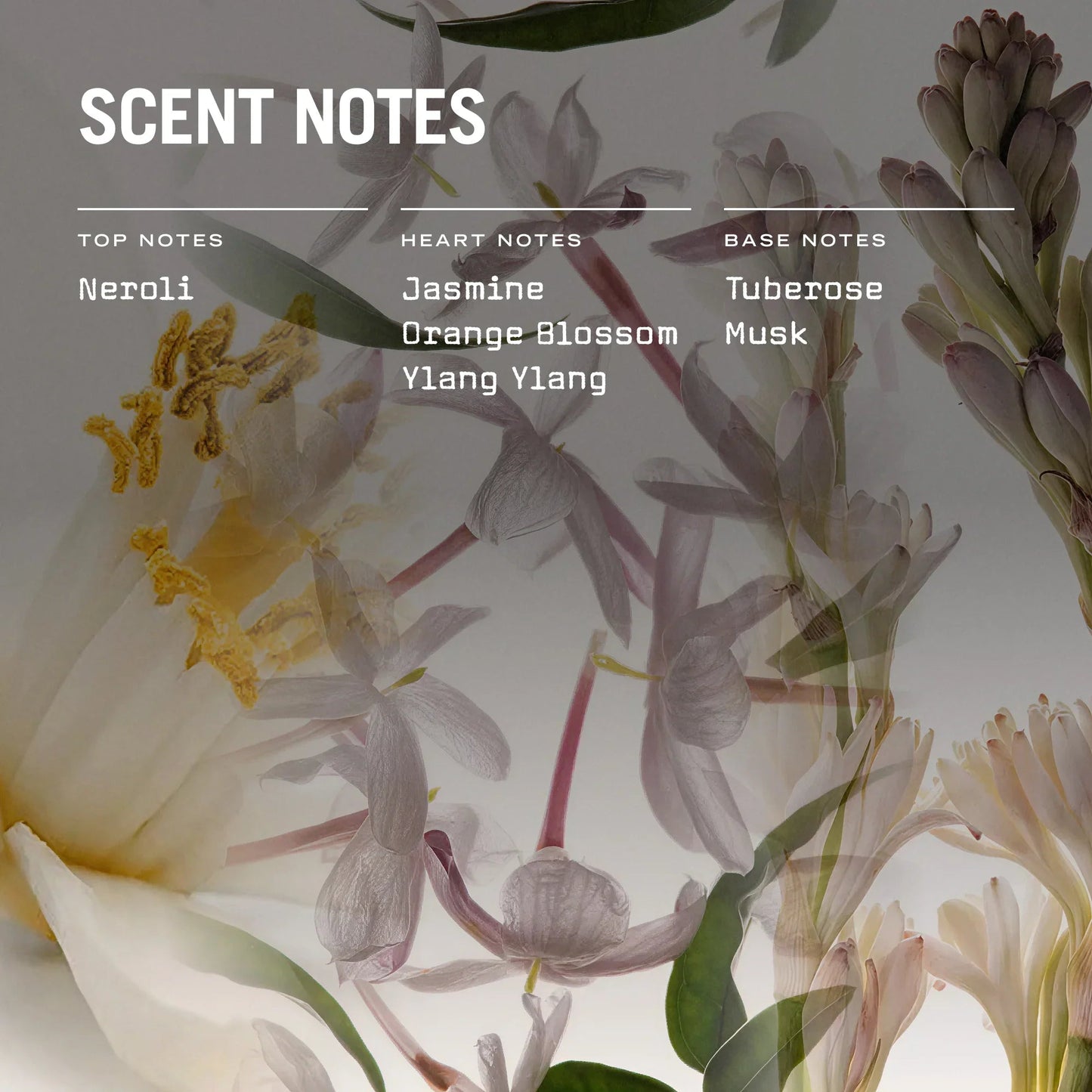 Florale Scented Candle - Coal Harbour