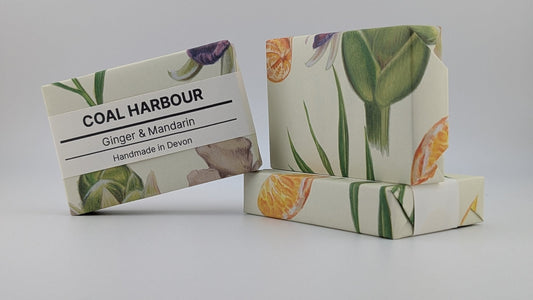 Ginger, Mandarin & Dead Sea Mud 100g Soap Bar - Coal Harbour