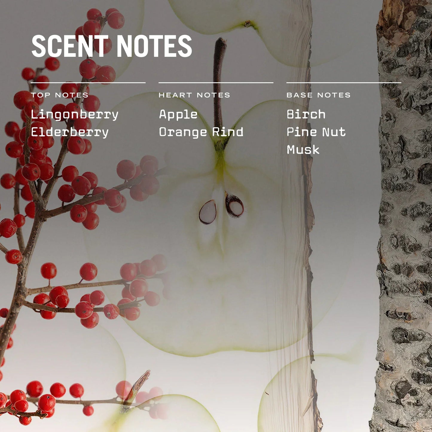 Lingonberry Reed Diffuser - Coal Harbour