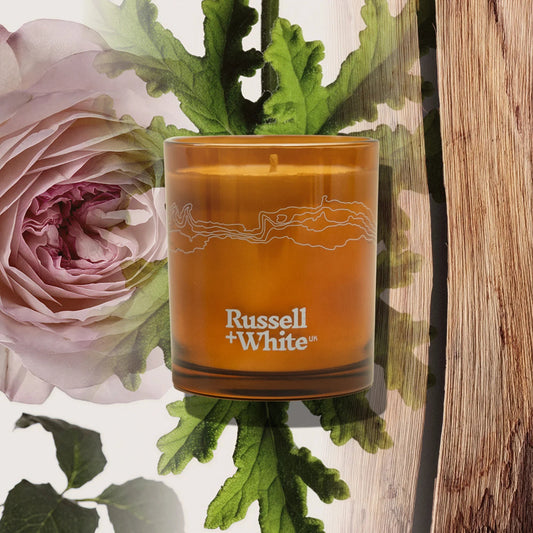 Medina Rose Scented Candle - Coal Harbour