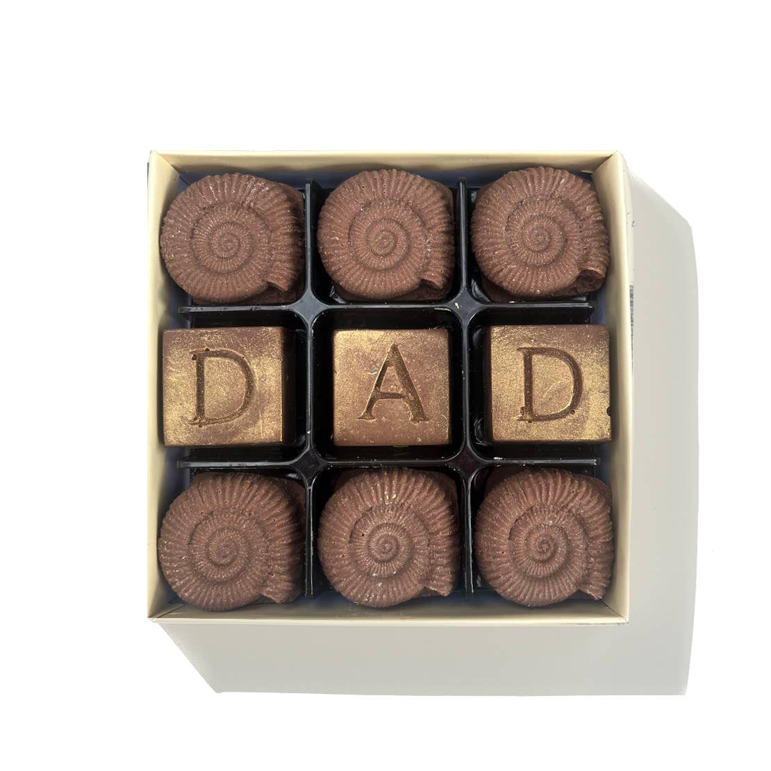 My Favourite Old Fossil Chocolate Box - Coal Harbour