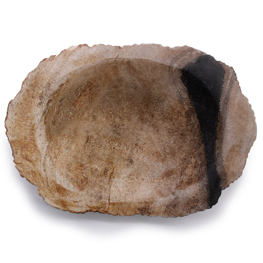 Petrified Wood Black Soap Dish - Coal Harbour