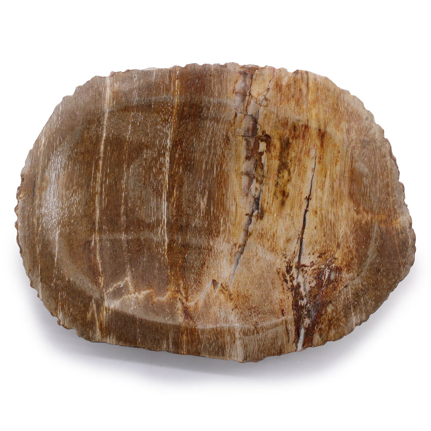 Petrified Wood Brown Soap Dish - Coal Harbour