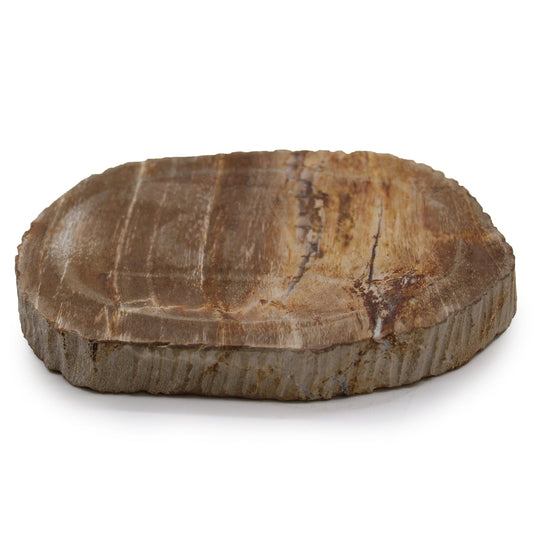 Petrified Wood Brown Soap Dish - Coal Harbour