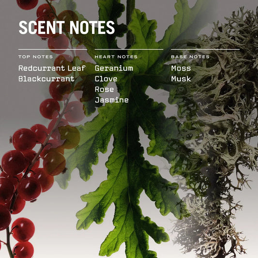 Red Lake Reed Diffuser - Coal Harbour