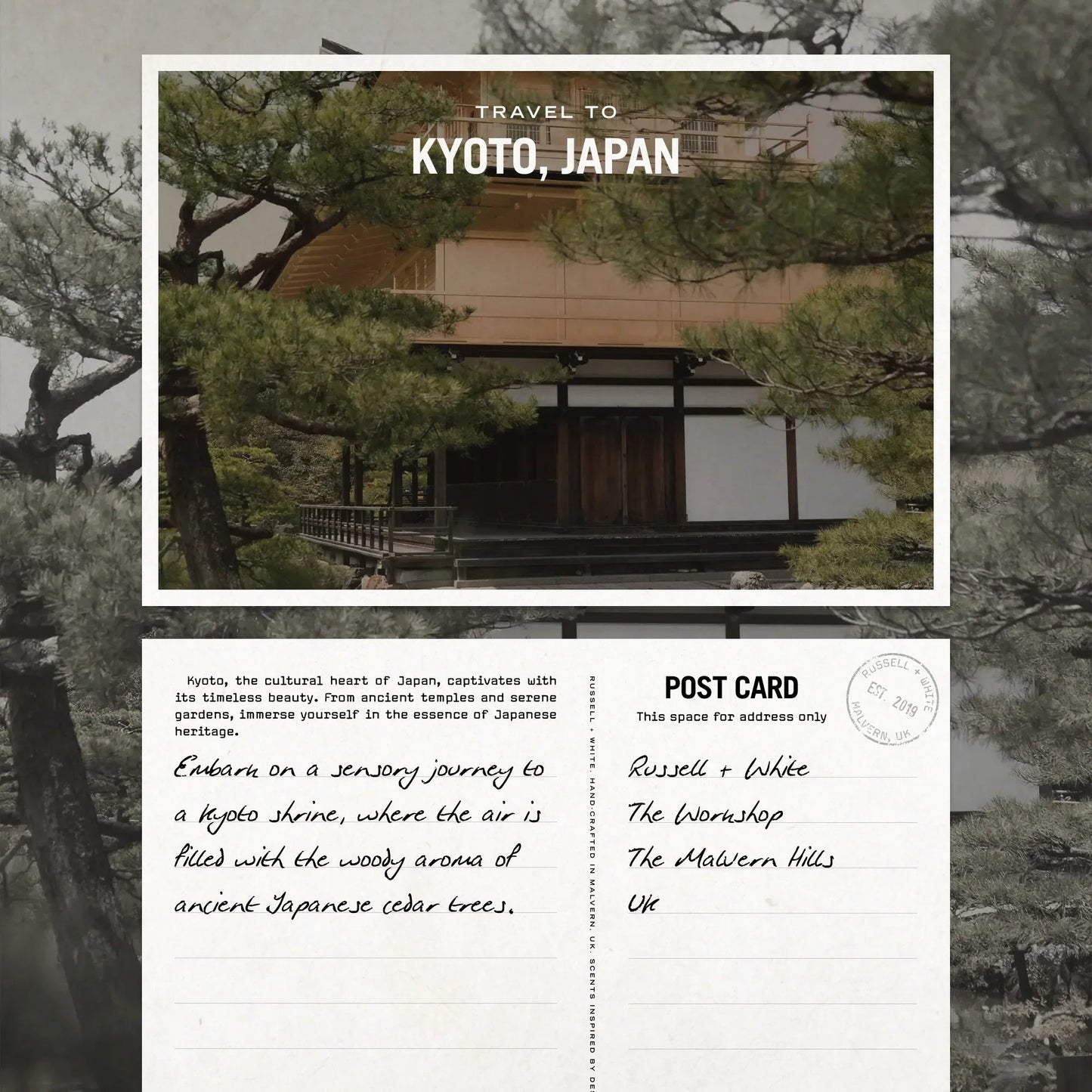 Sugi Reed Diffuser - Coal Harbour