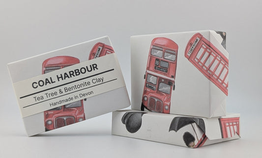 Tea Tree & Clay 100g Soap Bar - Coal Harbour