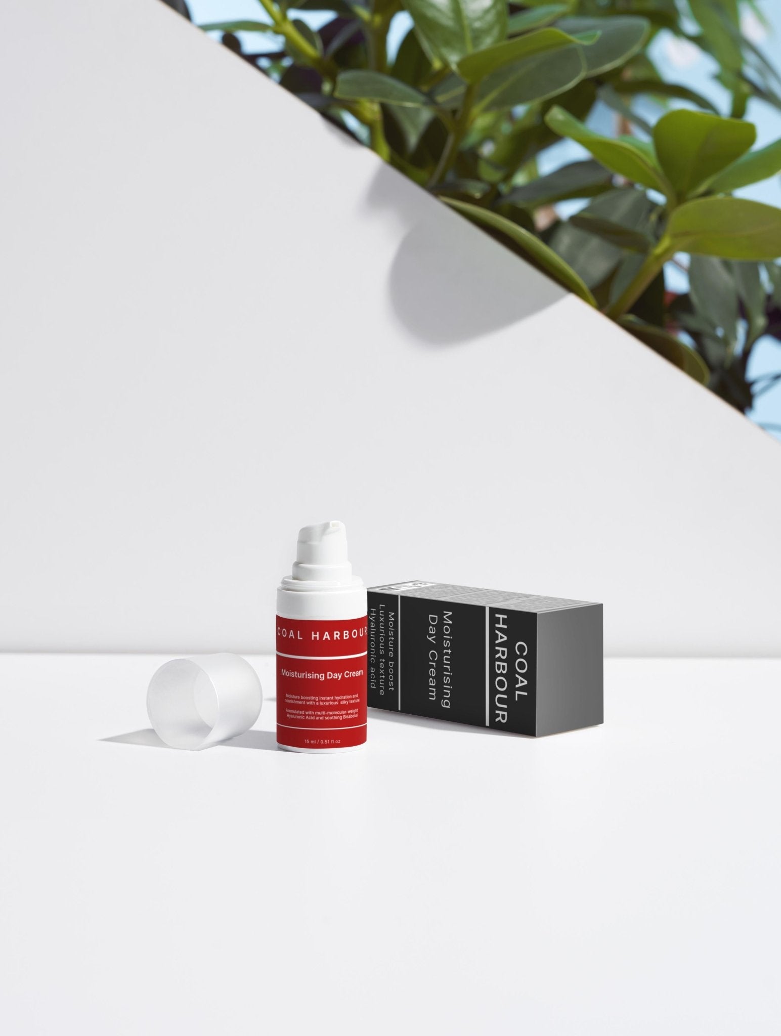 The Bestsellers Collection Box - Coal Harbour