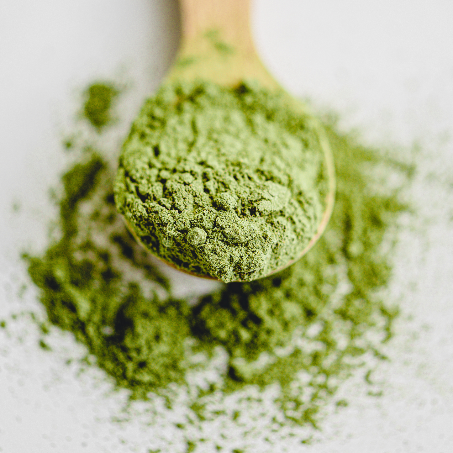 Matcha Culinary organic artisan tea on a wooden spoon