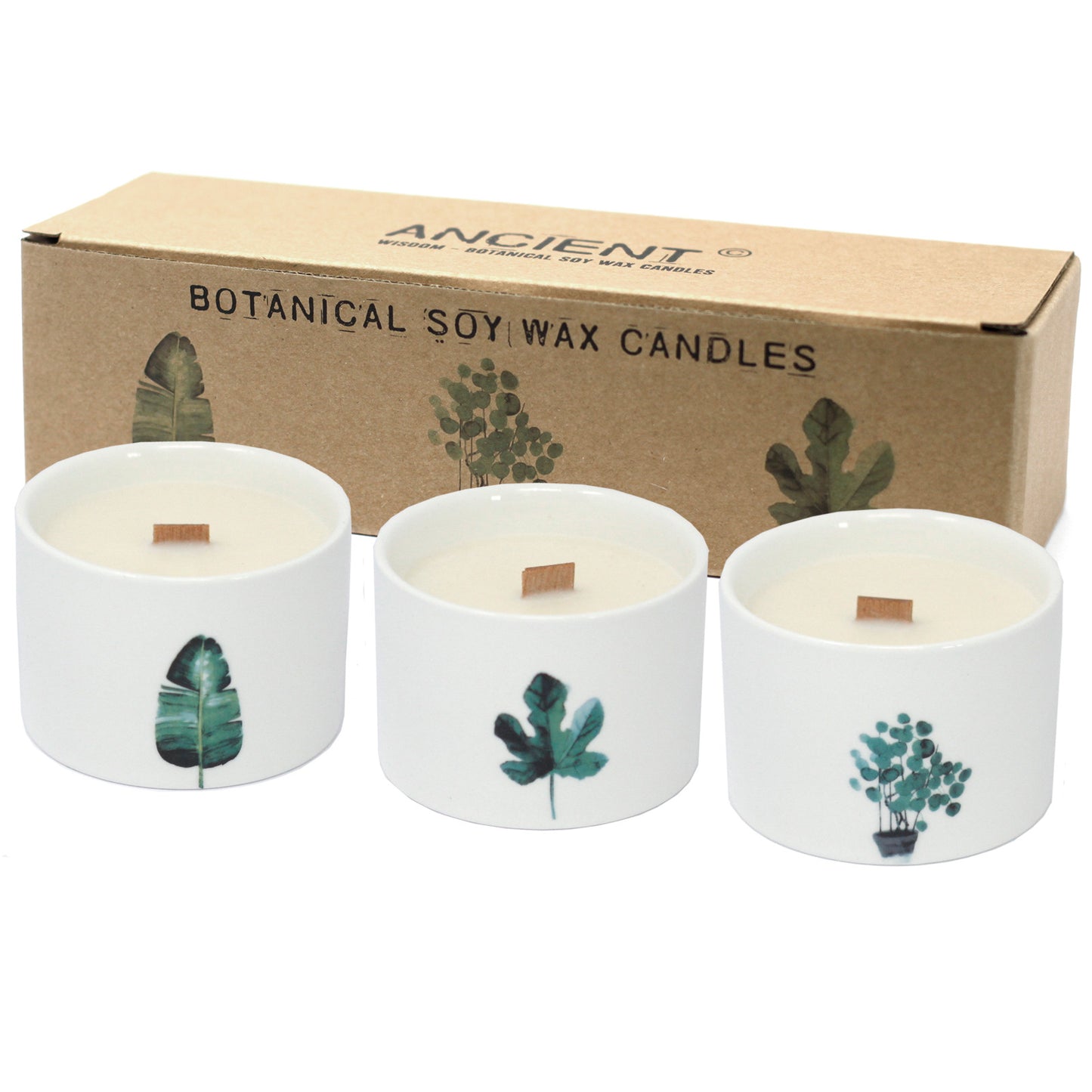 Botanical Candles - Medium - Lemon Honeysuckle