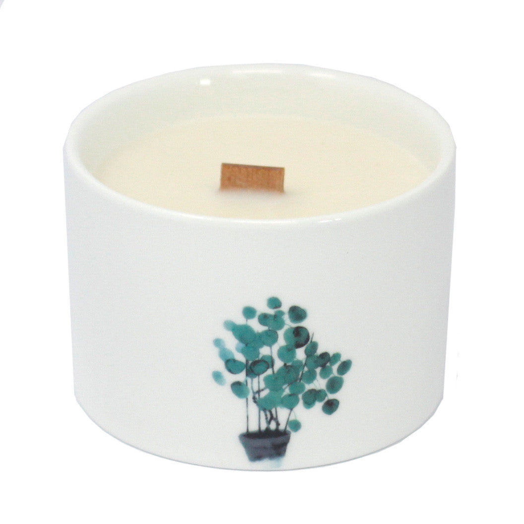 Botanical Candles - Medium - Lemon Honeysuckle