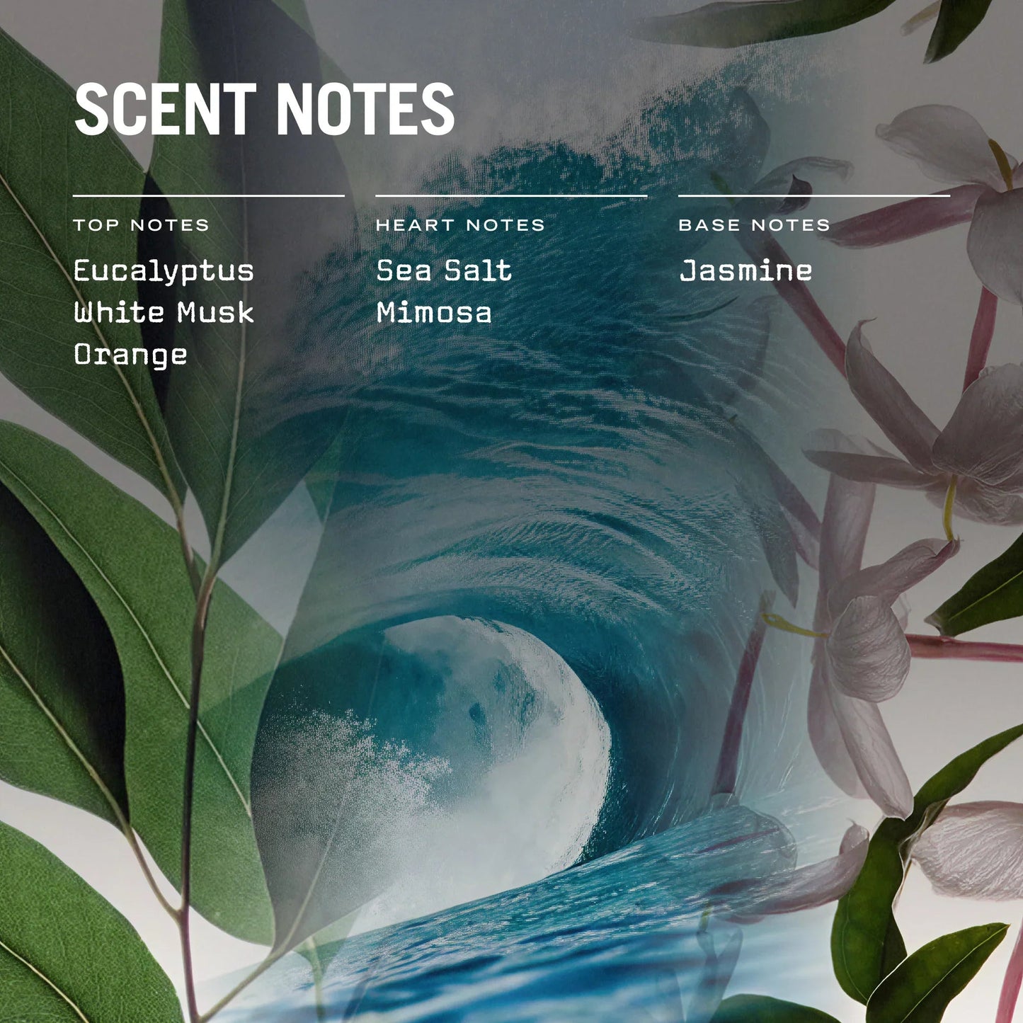 Cape Breeze Reed Diffuser - Coal Harbour