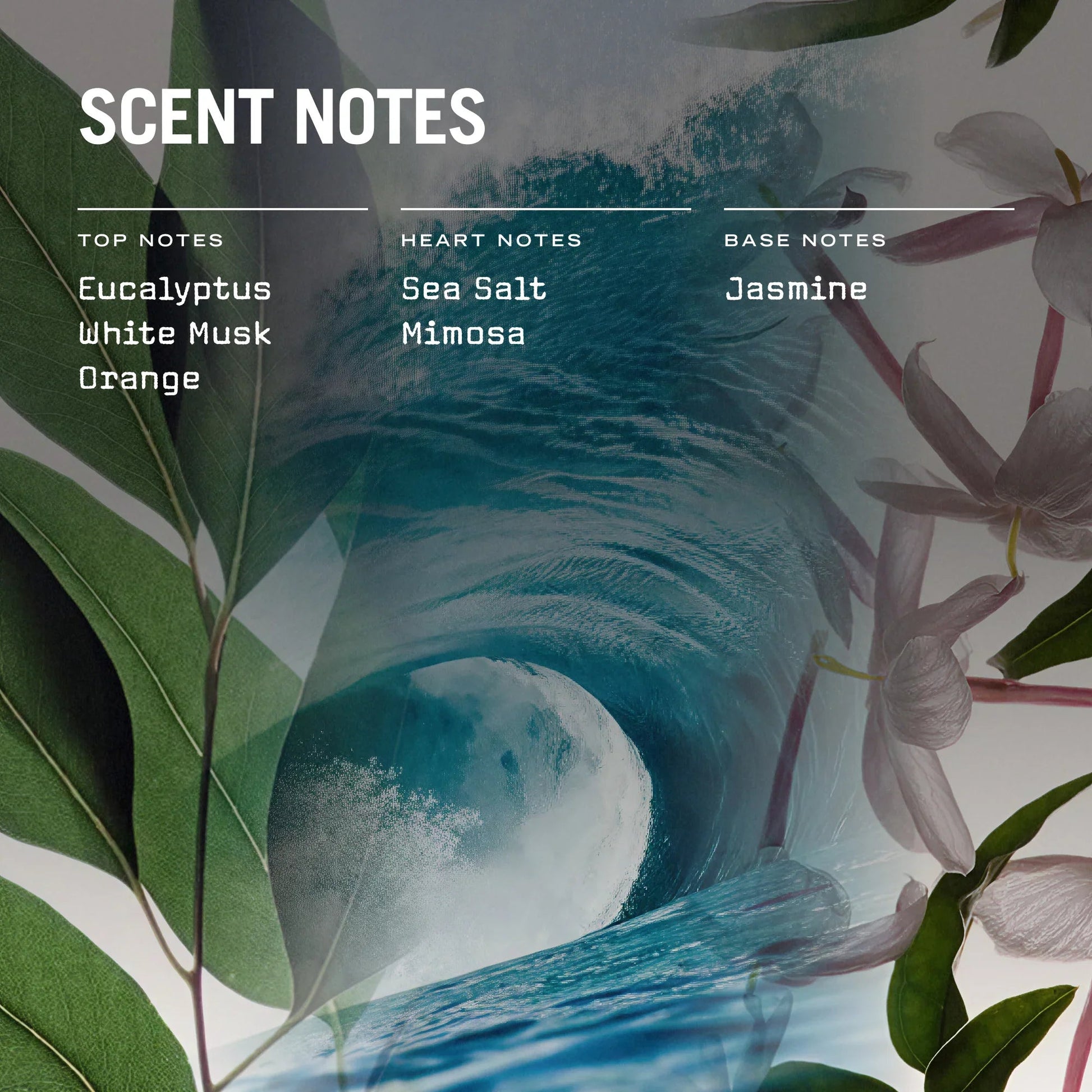 Cape Breeze Reed Diffuser - Coal Harbour