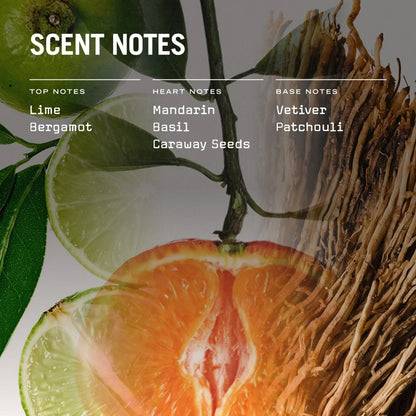 Citrico Reed Diffuser - Coal Harbour