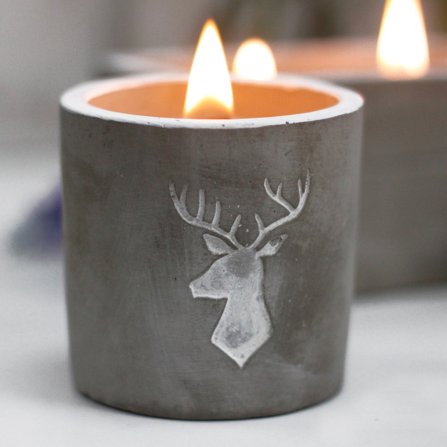 Concrete Wooden Wick Candle - Medium Pot - Stag Head - Whiskey & Woodsmoke