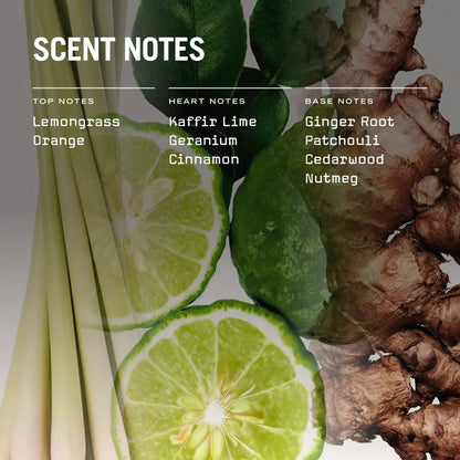 Eastern Garden Reed Diffuser - Coal Harbour