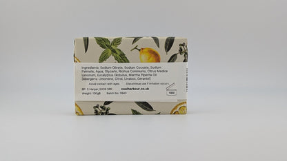 Eucalyptus, Lemon & Mint 100g Soap Bar - Coal Harbour