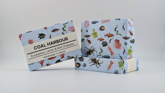 Eucalyptus, Lemon & Mint Solid Shampoo 100g - Coal Harbour