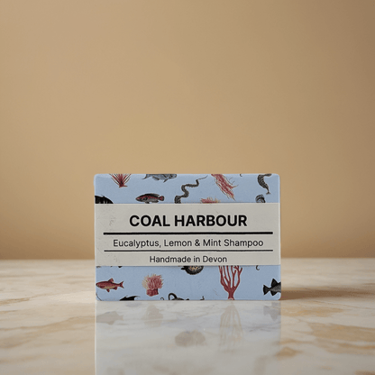 Eucalyptus, Lemon & Mint Solid Shampoo 100g - Coal Harbour