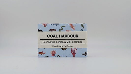 Eucalyptus, Lemon & Mint Solid Shampoo 100g - Coal Harbour