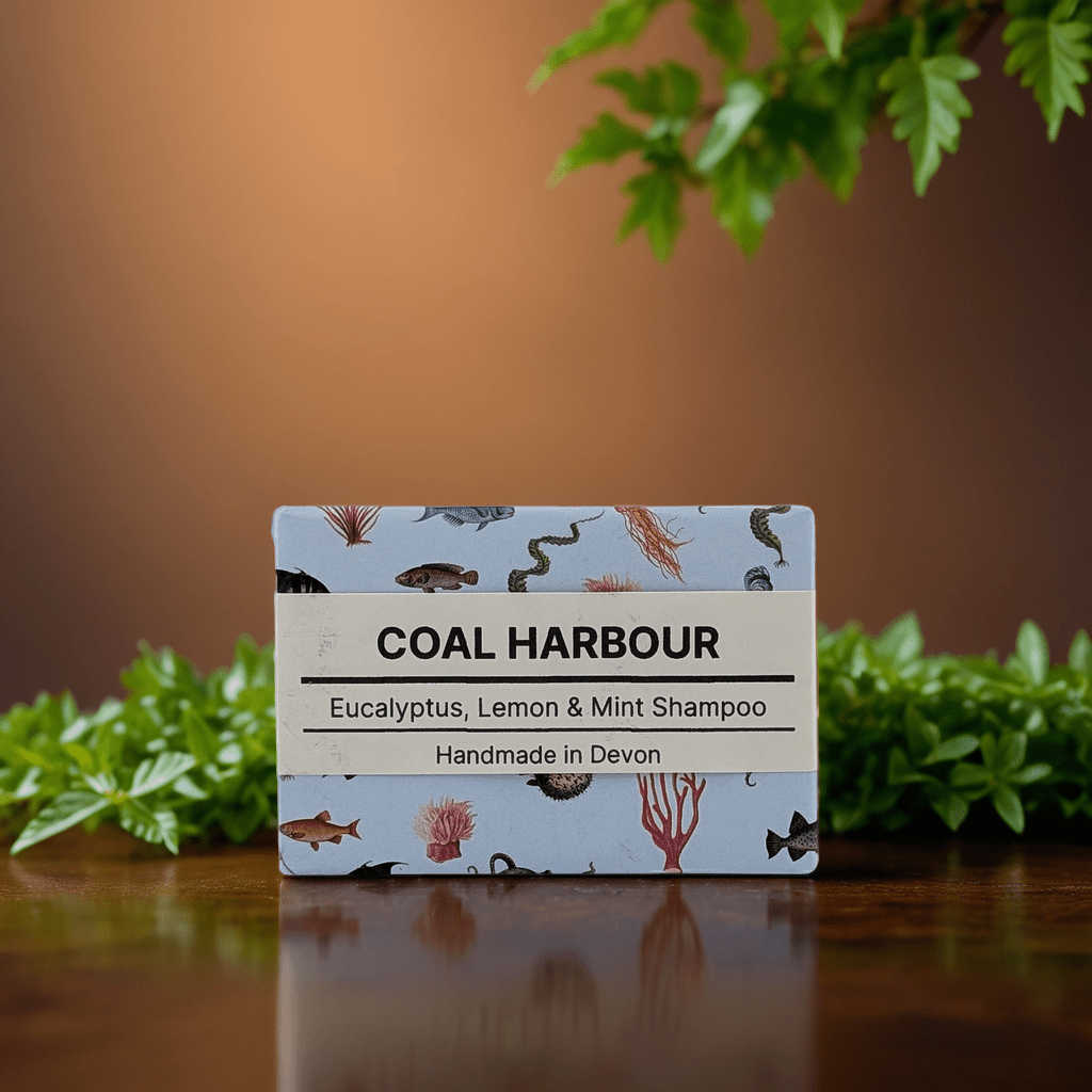 Eucalyptus, Lemon & Mint Solid Shampoo 100g - Coal Harbour