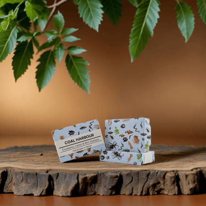 Eucalyptus, Lemon & Mint Solid Shampoo 100g - Coal Harbour