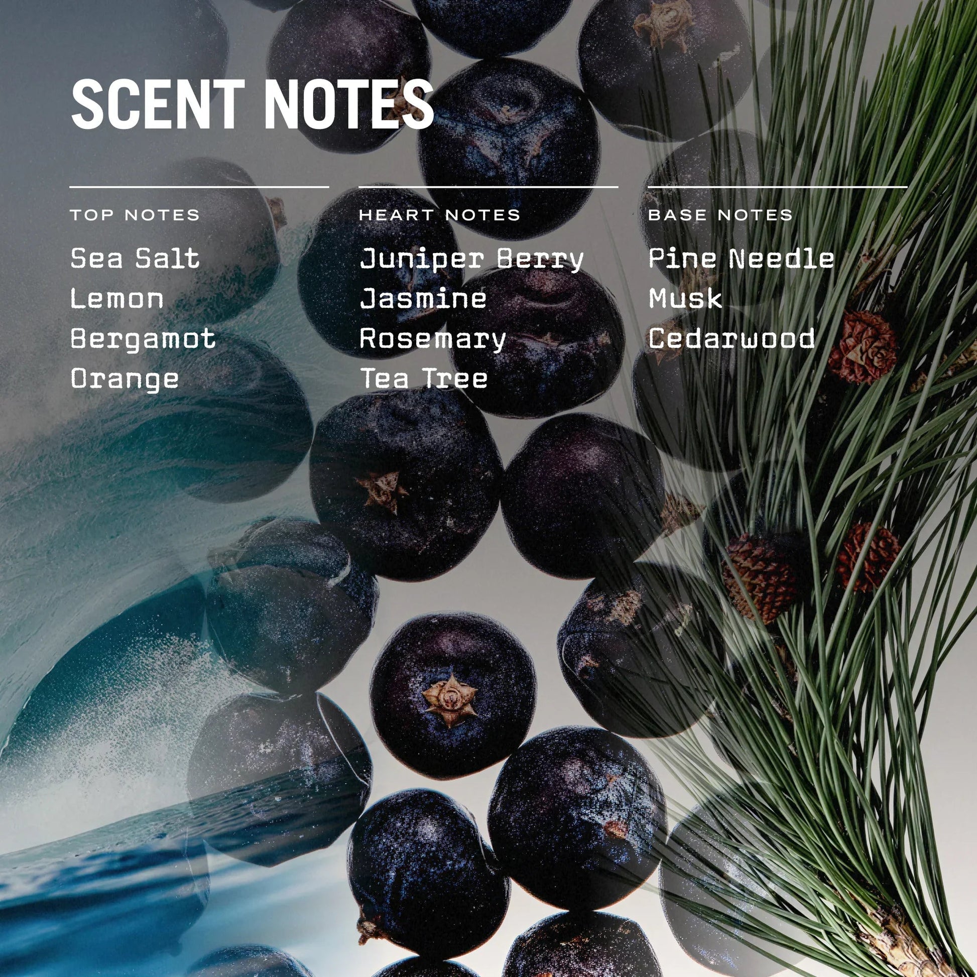 Exmoor Scented Candle - Coal Harbour