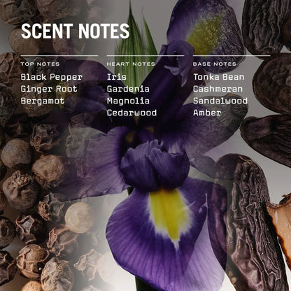 Firenze Leather Scented Candle - Coal Harbour