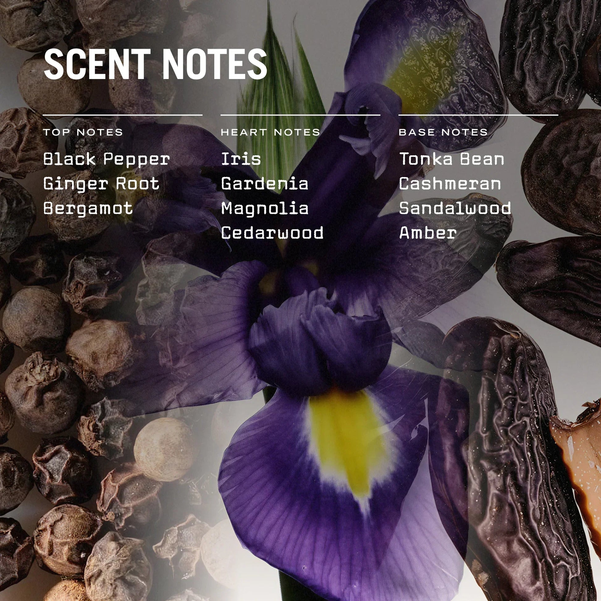 Firenze Leather Scented Candle Refill - Coal Harbour