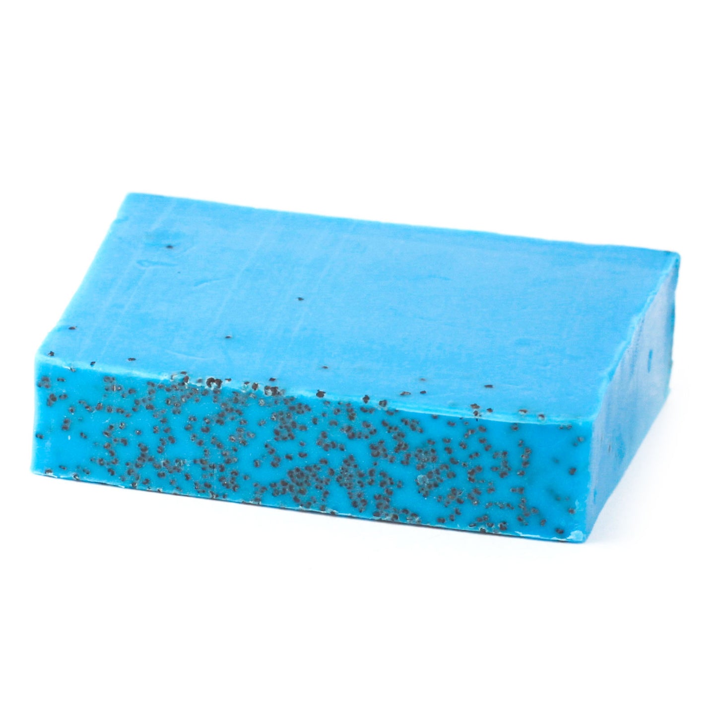 Wild & Natural Soap 100g Slice