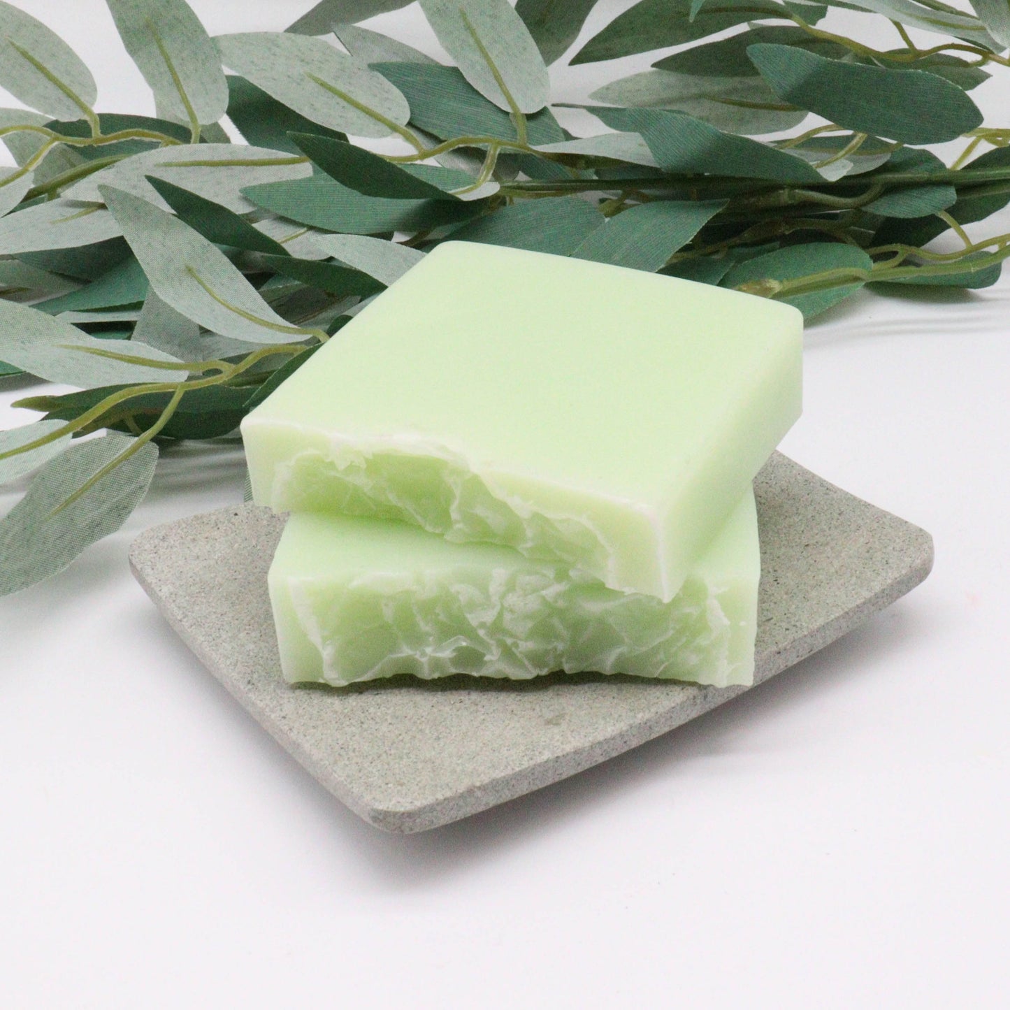 Wild & Natural Soap 100g Slice