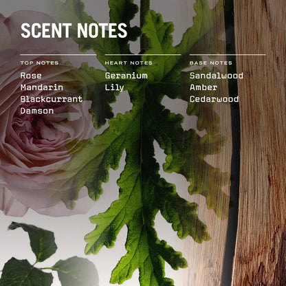 Medina Rose Scented Candle - Coal Harbour