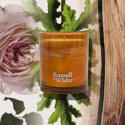 Medina Rose Scented Candle Refill - Coal Harbour