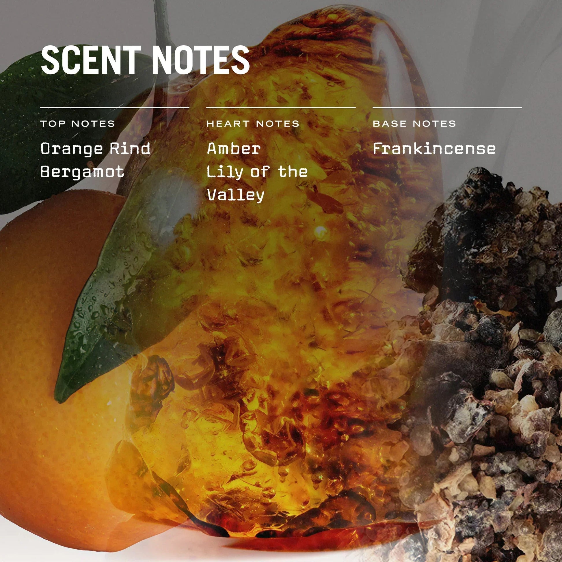 Mystice Reed Diffuser - Coal Harbour